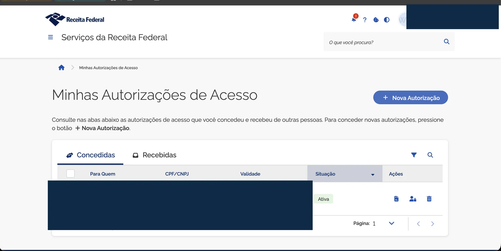 Tela Minhas Autorizações de Acesso com botão Nova Autorização